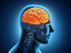 Understanding the 4 Categories of Brain Damage Symptoms
