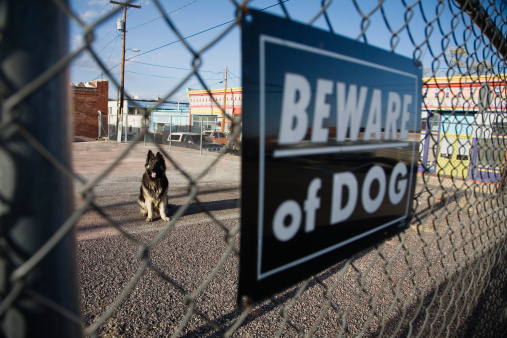 beware of dog yard sign