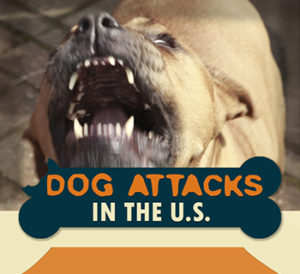 Dog Attacks In The U.S. Infographic